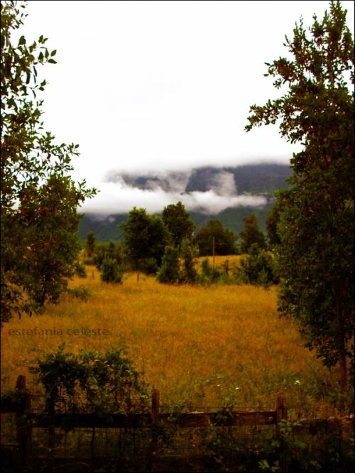 Fotografia de Estefania - Galeria Fotografica: Naturaleza - Foto: 