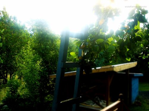 Fotografia de Estefania - Galeria Fotografica: Naturaleza - Foto: 