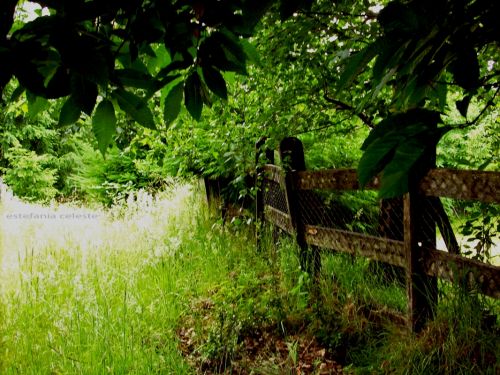 Fotografia de Estefania - Galeria Fotografica: Naturaleza - Foto: 