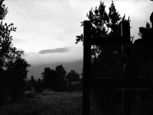 Fotografia de Estefania - Galeria Fotografica: Naturaleza - Foto: 