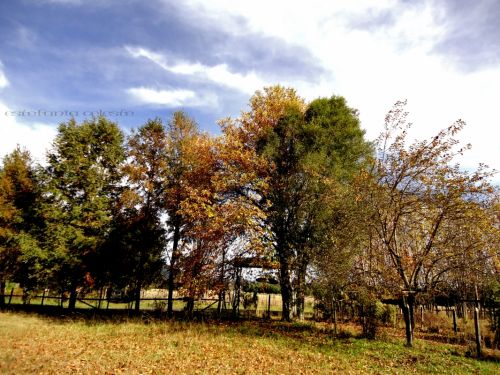 Fotografia de Estefania - Galeria Fotografica: Naturaleza - Foto: 