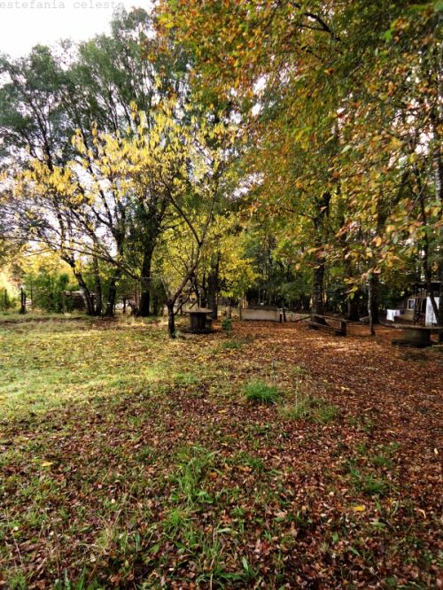 Fotografia de Estefania - Galeria Fotografica: Naturaleza - Foto: 