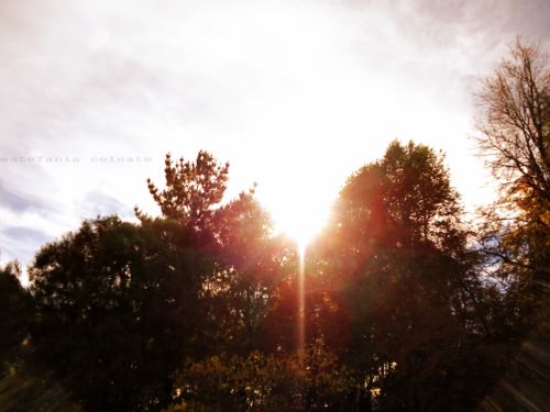 Fotografia de Estefania - Galeria Fotografica: Naturaleza - Foto: 