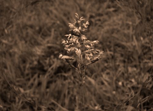 Fotografia de Estefania - Galeria Fotografica: Naturaleza - Foto: 