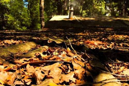 Fotografia de Estefania - Galeria Fotografica: Naturaleza - Foto: 