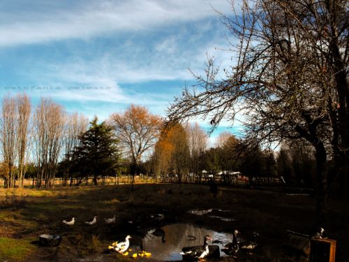 Fotografia de Estefania - Galeria Fotografica: Naturaleza - Foto: 