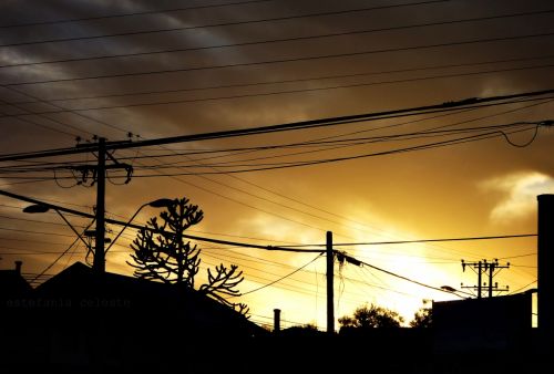 Fotografia de Estefania - Galeria Fotografica: Naturaleza - Foto: 