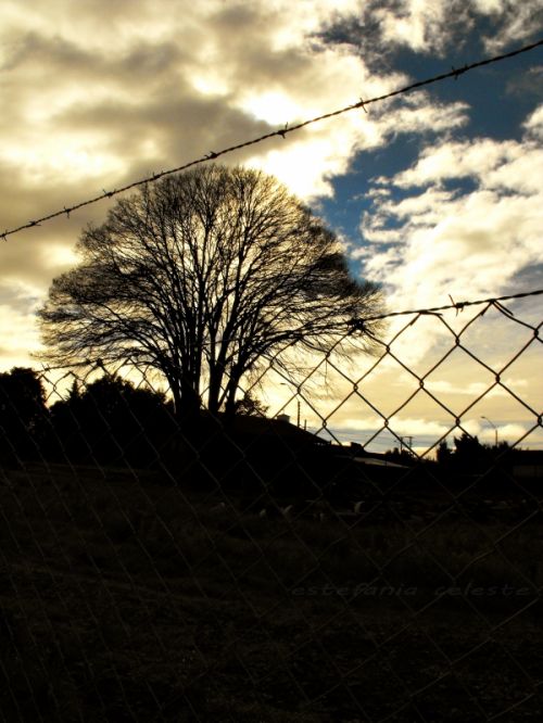 Fotografia de Estefania - Galeria Fotografica: Naturaleza - Foto: 