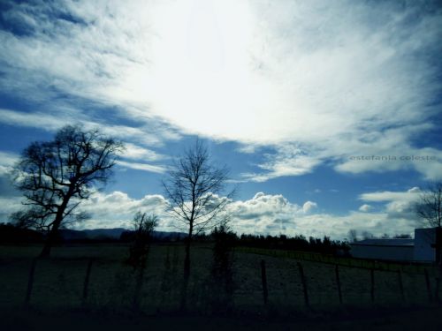 Fotografia de Estefania - Galeria Fotografica: Naturaleza - Foto: 