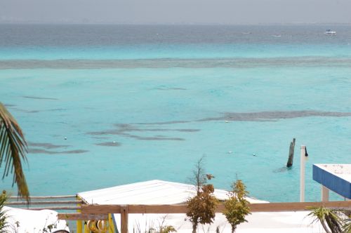 Fotografia de FOTOGRAFICA - Galeria Fotografica: Isla Mujeres - Foto: 