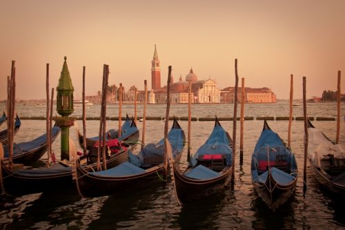 Fotografia de FILHIN - Galeria Fotografica: Nupcial - Foto: 