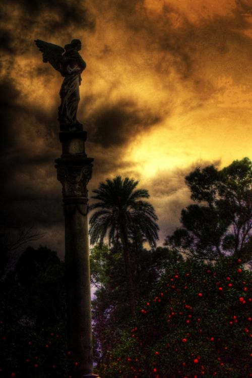 Fotografia de carlos sevilla - Galeria Fotografica: VARIADAS - Foto: 