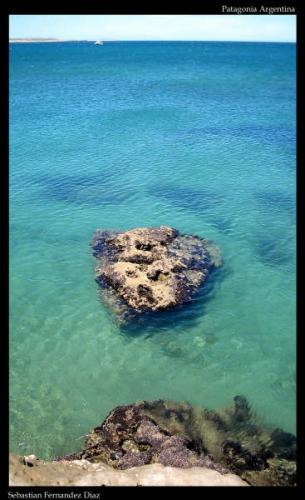 Fotografia de Sebas - Galeria Fotografica: Patagonia - Foto: Puerto Piramides 2