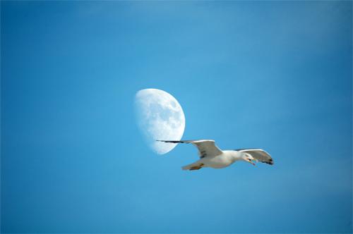 Fotografia de Juanra - Galeria Fotografica: Paisaje - Foto: sobre la luna