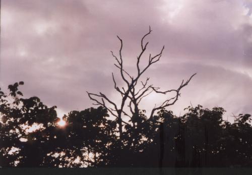 Fotografia de romer vision - Galeria Fotografica: Atardecer en Tacarigua - Foto: Atardecer en Tacarigua