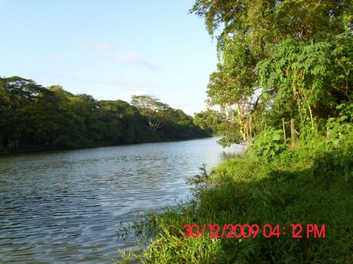 Fotografia de Creaciones - Galeria Fotografica: Nicaragua es bella - Foto: Orilla del rio Sapoa, Rivas