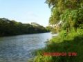 Fotos de Creaciones -  Foto: Nicaragua es bella - Orilla del rio Sapoa, Rivas