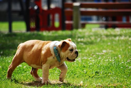 Fotografia de cle68 - Galeria Fotografica: mis fotos - Foto: 