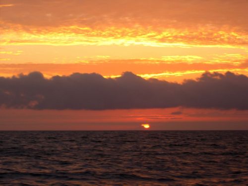 Fotografia de JORGE SALIM - Galeria Fotografica: EL PARAISO DE DARWIN - Foto: sol galapagos