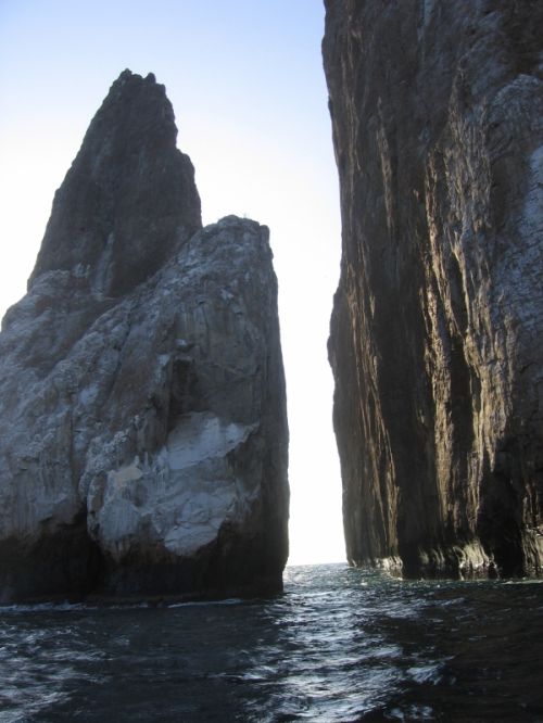 Fotografia de JORGE SALIM - Galeria Fotografica: EL PARAISO DE DARWIN - Foto: canal leon dormido