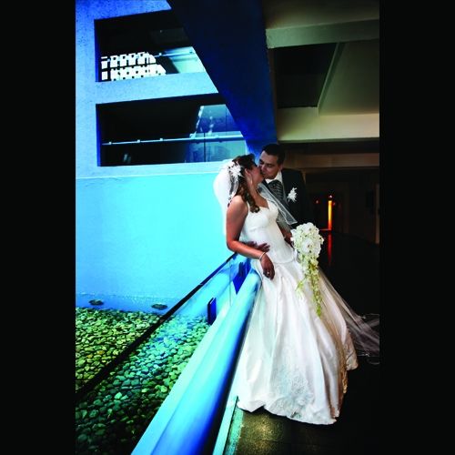 Fotografia de VERANIA TORRES PHOTOGRAPHY - Galeria Fotografica: Verania Torres Photography - Foto: 