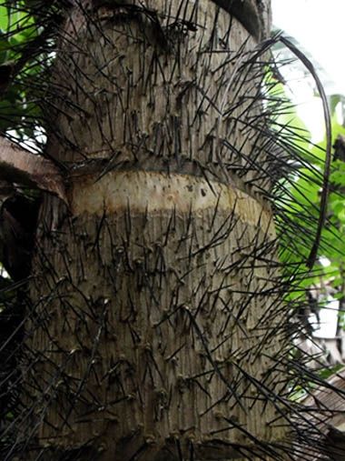 Fotografia de ARMANDO - Galeria Fotografica: AL NATURAL2 - Foto: 