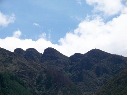 Fotografia de ARMANDO - Galeria Fotografica: AL NATURAL2 - Foto: 