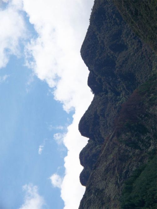 Fotografia de ARMANDO - Galeria Fotografica: AL NATURAL2 - Foto: 