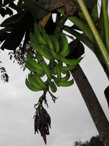 Fotografia de ARMANDO - Galeria Fotografica: AL NATURAL2 - Foto: 