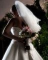 Fotos de venegrado -  Foto: bodas - 