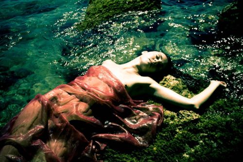 Fotografia de Rimel de miel - Galeria Fotografica: Books - Foto: 