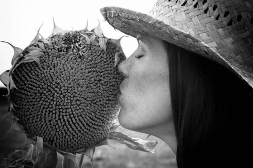 Fotografia de Rimel de miel - Galeria Fotografica: Books - Foto: 