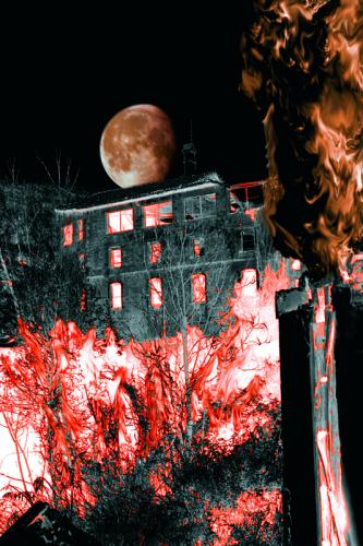 Fotografia de Mario garcia - Galeria Fotografica: Aceite - Foto: fuego