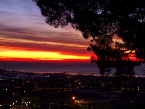 Fotografia de HOLBEIN - Galeria Fotografica: desde mi balcn - Foto: 