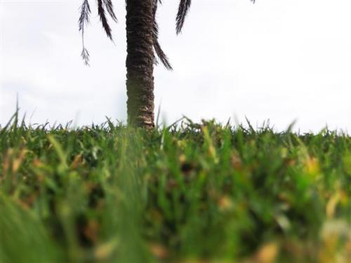 Fotografia de Mara - Galeria Fotografica: Pasin? - Foto: 