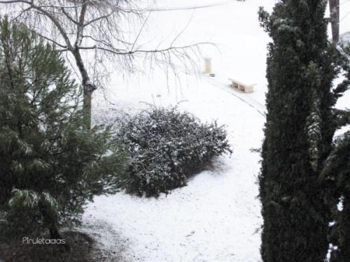 Fotografia de Mara - Galeria Fotografica: Pasin? - Foto: 