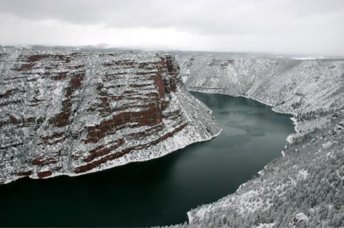 Fotografia de Ardilla PRO - Galeria Fotografica: Naturaleza y Agro - Foto: Naturaleza nevado