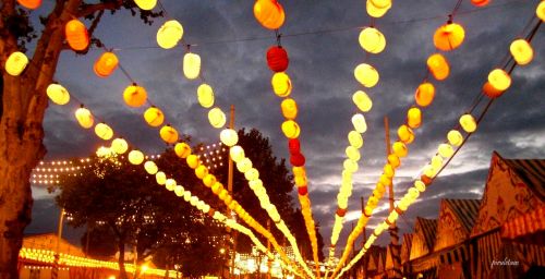 Fotografia de Mara - Galeria Fotografica: Pasin? - Foto: 