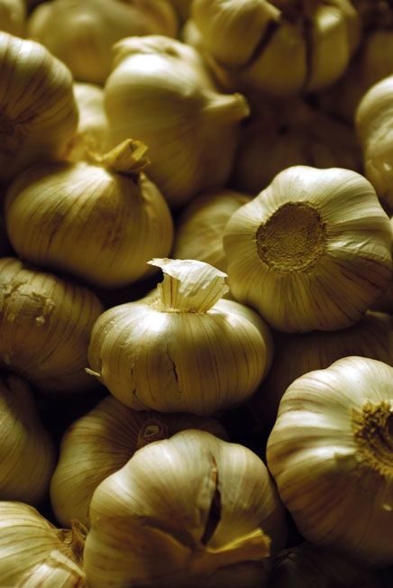 Fotografia de macarena achurra - Galeria Fotografica: Varios - Foto: 