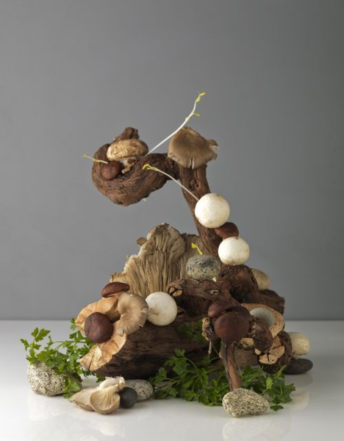 Fotografia de macarena achurra - Galeria Fotografica: Varios - Foto: 