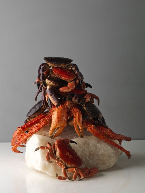 Fotografia de macarena achurra - Galeria Fotografica: Varios - Foto: 