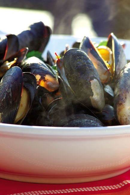 Fotografia de macarena achurra - Galeria Fotografica: Varios - Foto: 