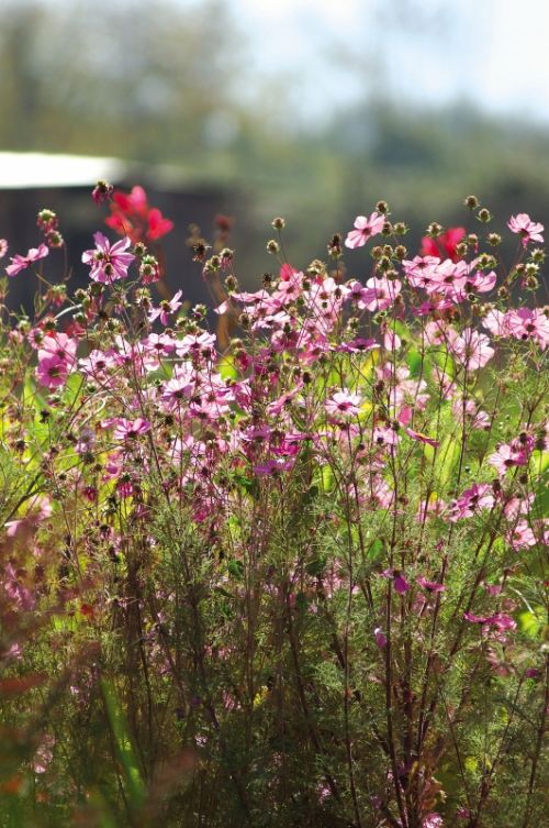 Fotografia de macarena achurra - Galeria Fotografica: landscapes - Foto: 