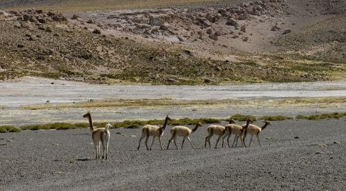 Fotografia de macarena achurra - Galeria Fotografica: landscapes - Foto: 
