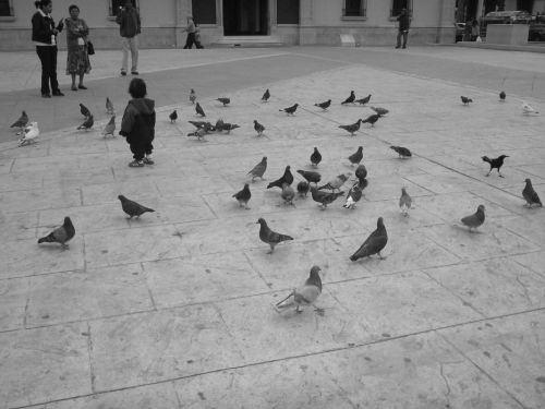 Fotografia de ricardo - Galeria Fotografica: soe al despertar - Foto: 