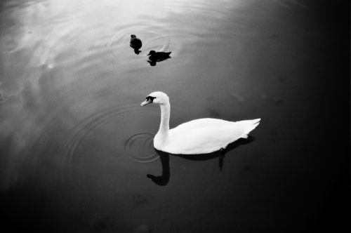 Fotografia de marcoslozano - Galeria Fotografica: B&W - Foto: 