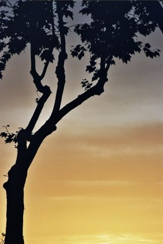 Fotografia de marcoslozano - Galeria Fotografica: Color - Foto: 