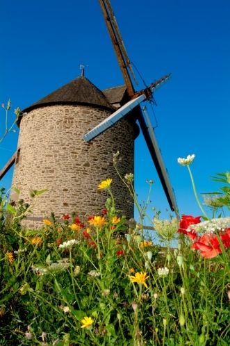 Fotografia de marcoslozano - Galeria Fotografica: Color - Foto: 