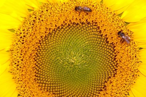 Fotografia de marcoslozano - Galeria Fotografica: Color - Foto: 