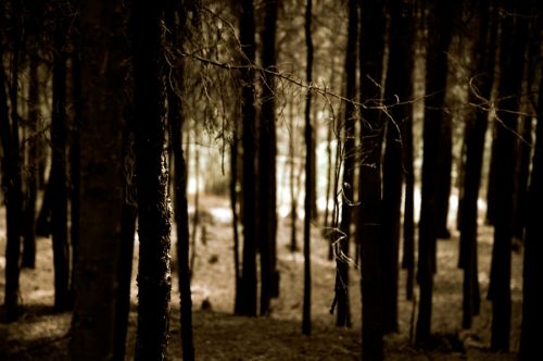 Fotografia de grado1 - Galeria Fotografica: NAturaleza - Foto: 